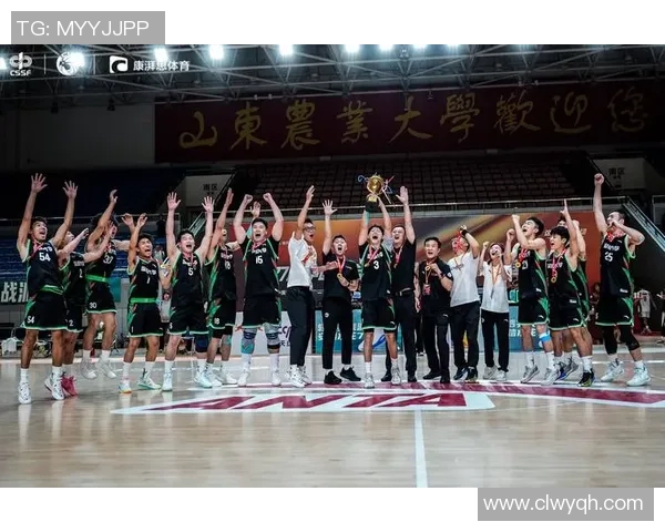 深圳篮球队在全国锦标赛中的团队协作表现分析与点评