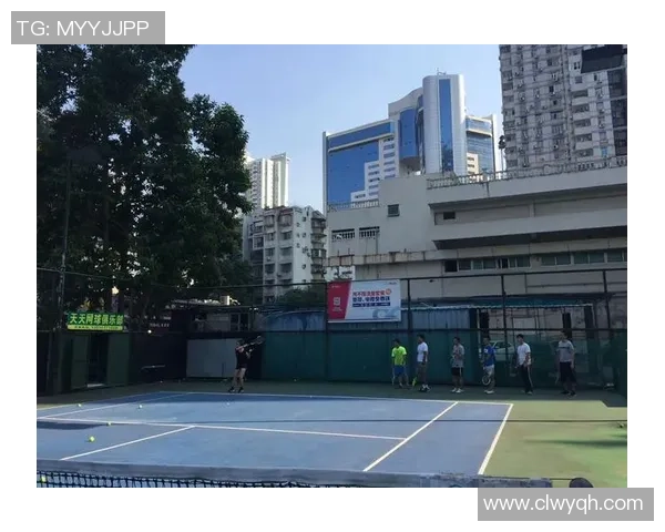 深圳网球队运营分析：成功经验与面临挑战的深度探讨